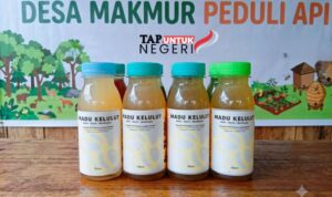 TAP Untuk Negeri Buka Akses Pasar Madu Kelulut UMKM Muara Lesan, Produk Lokal Makin Dikenal TAP Untuk Negeri Buka Akses Pasar Madu Kelulut UMKM Muara Lesan, Produk Lokal Makin Dikenal