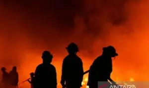 Kebakaran Restoran di Melawai, 17 Mobil Damkar dan 75 Personel Dikerahkan Kebakaran Restoran di Melawai, 17 Mobil Damkar dan 75 Personel Dikerahkan